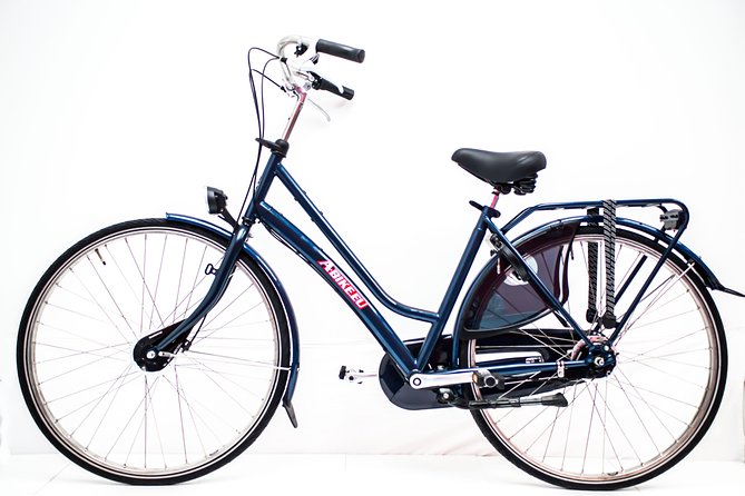 Bike Rental in Amsterdam - Museumplein: A Bike-Friendly Way to See Rijksmuseum, Stedelijk, and Van Gogh
