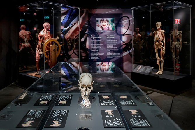 Body Worlds Amsterdam Admission Ticket - What Body Worlds Amsterdam feels like inside