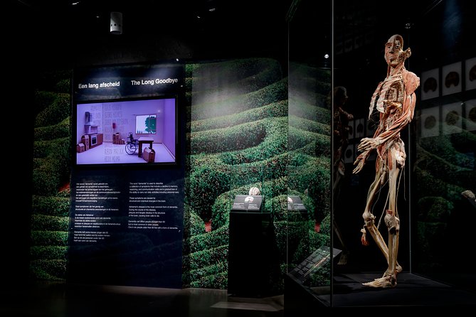 Body Worlds Amsterdam Admission Ticket - Stop 1: Body Worlds exhibits and the anatomy you will see