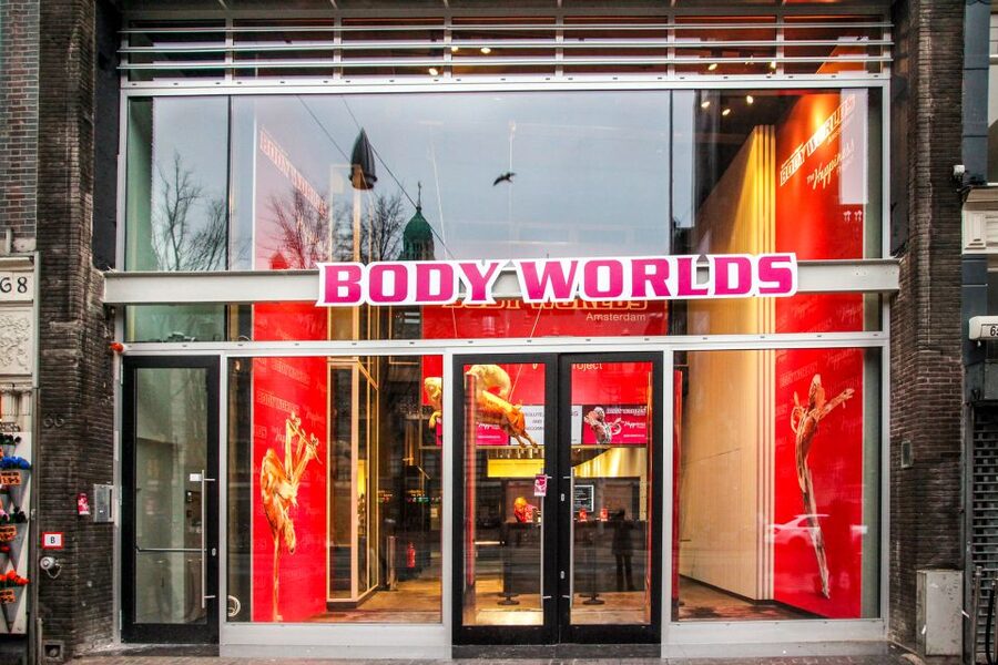 Body Worlds Amsterdam: The Happiness Project Ticket - Body Worlds Amsterdam on Damrak: what the Happiness Project is really about