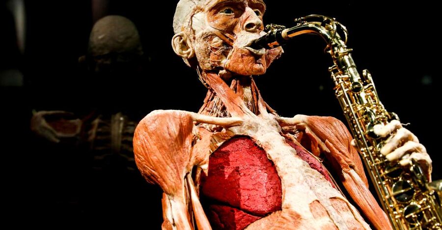 Body Worlds Amsterdam: The Happiness Project Ticket - The layout on multiple floors: start at the top and keep moving