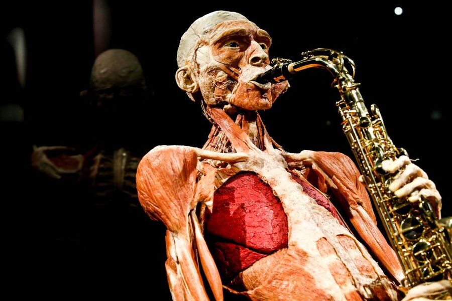 Body Worlds Amsterdam: The Happiness Project Ticket - Logistics that matter: time-slot entry, skipping lines, and where to go