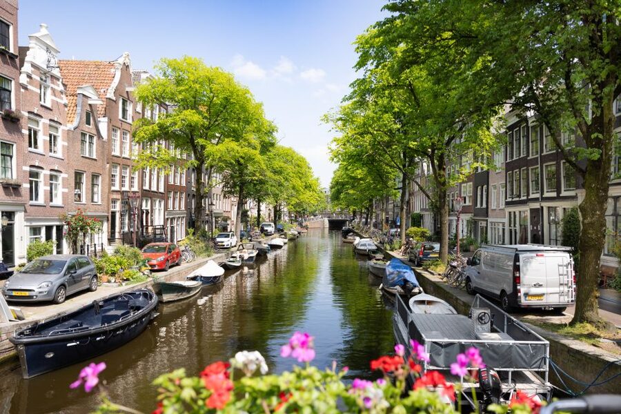 Boutique Dutch Food & History Tour with up to 8 guests only - Tuesday to Friday: butcher meats, farmhouse cheeses, wine, and the North Sea staples