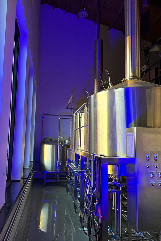 Breugem Brewery: Beer tasting - What you actually taste: four beers, plus water and nuts