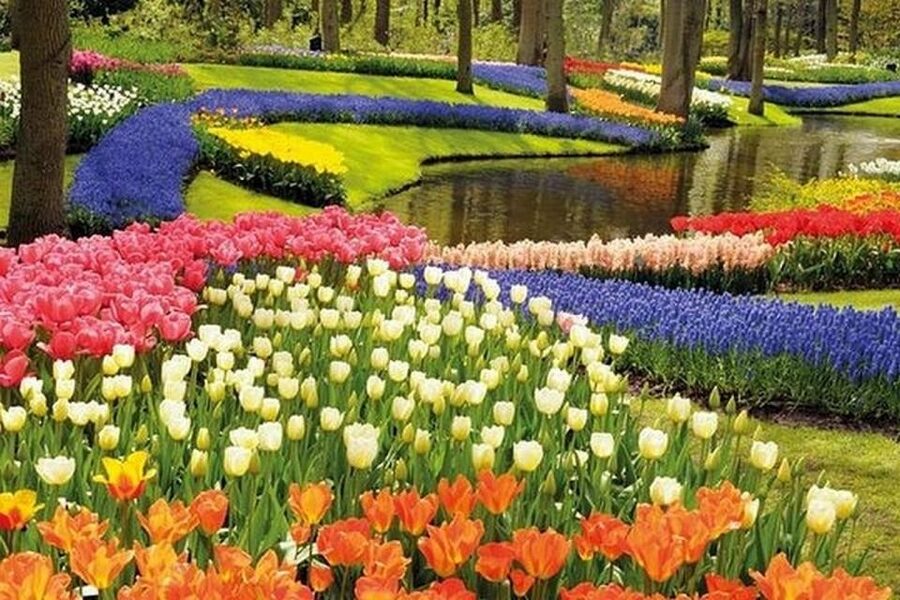 Brussels: Keukenhof, Tulips, and Delft Day Trip - Who This Tour Suits Best, And Who Should Skip It