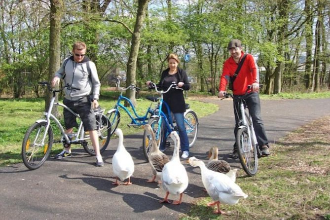 Cheese, Canals & Windmill Countryside E-Bike Tour Amsterdam - Nieuwendammerdijk: Green Wooden Houses and the Captain’s Home Feeling