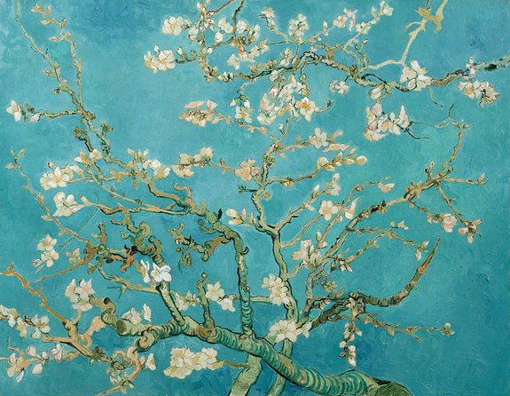 Combo Ticket: Van Gogh Museum Ticket and 1-Hour Canal Cruise - Locker time and bag reality: plan your museum gear