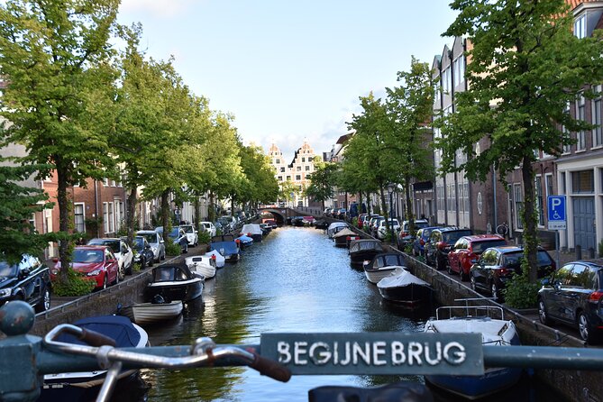 Cultural and Historical Audio guided walking tour Tour of Haarlem - Teylers Museum: art and science in 1778 surroundings