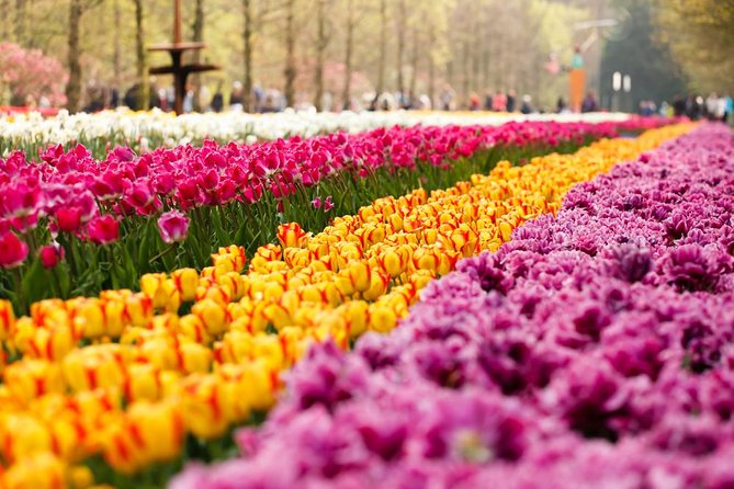 Day Trip to Keukenhof Gardens from Amsterdam with Tour Guide - Keukenhof Free Time: How to Use Your 3 Hours Like a Pro