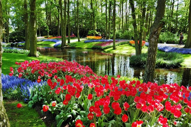 Day Trip to Keukenhof Gardens from Amsterdam with Tour Guide - What’s Included, What’s Not, and How Much You’ll Spend on Top