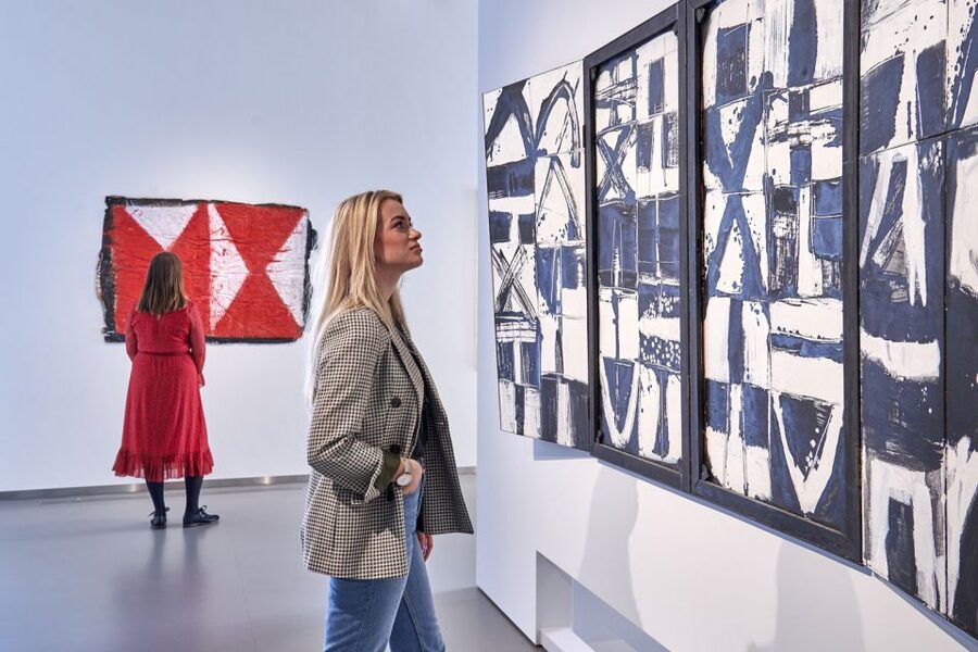 Den Bosch: Het Noordbrabants Museum Entry Ticket - Price and Value: Is It Worth About $20?