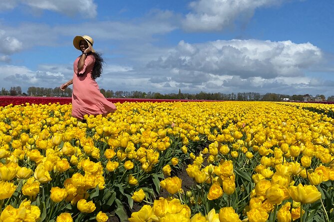 Discover Holland’s Beautiful Tulip Fields with an Expert Guide - Twisk tulip field stop: quieter rows and real photo time
