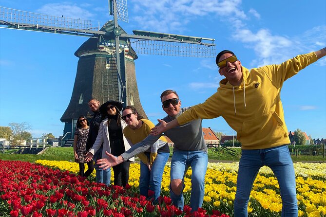 Discover Holland’s Beautiful Tulip Fields with an Expert Guide - Venhuizen tulip fields: a second chance to get your colors right