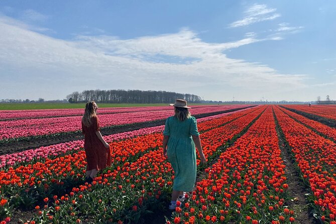 Discover Holland’s Beautiful Tulip Fields with an Expert Guide - What to pack for mud, photos, and a windy day