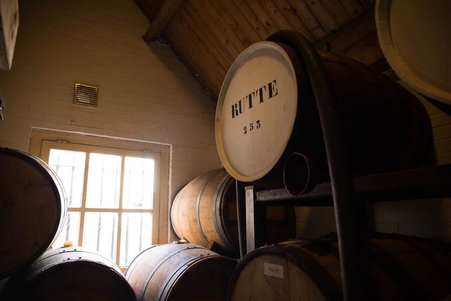 Dordrecht: Distillery Tour with Dutch Gin & Genever Tasting - The tasting portion: what you get to sample