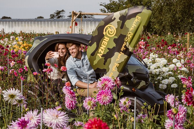Drive it yourself electric Dune & Summer Flower GPS audio tour - Who This Electric Dahlia Tour Suits Best