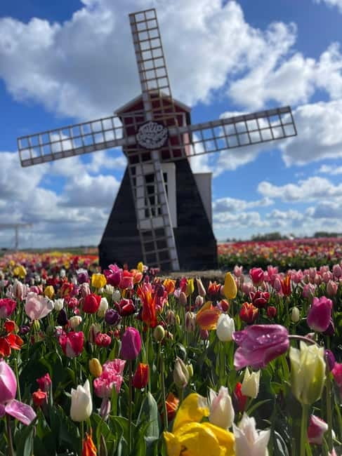 Dutch Countryside: , windmills, Villages, Cheese & Clogs - Getting Out of Amsterdam: Pickup and a 6-Hour Rhythm