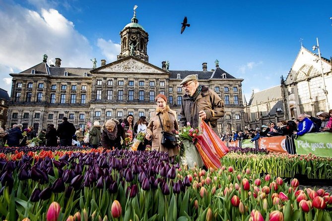 e-Scavenger hunt Amsterdam: Explore the city at your own pace - Who this Amsterdam experience suits best