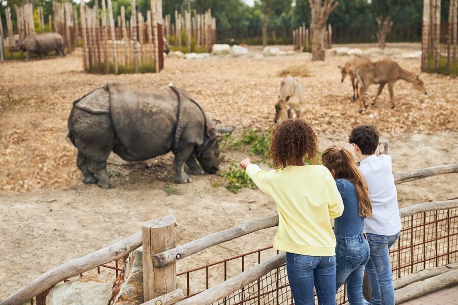 Eindhoven Zoo Entry Ticket - Enter Through the Main Gate and Get Your Bearings Fast