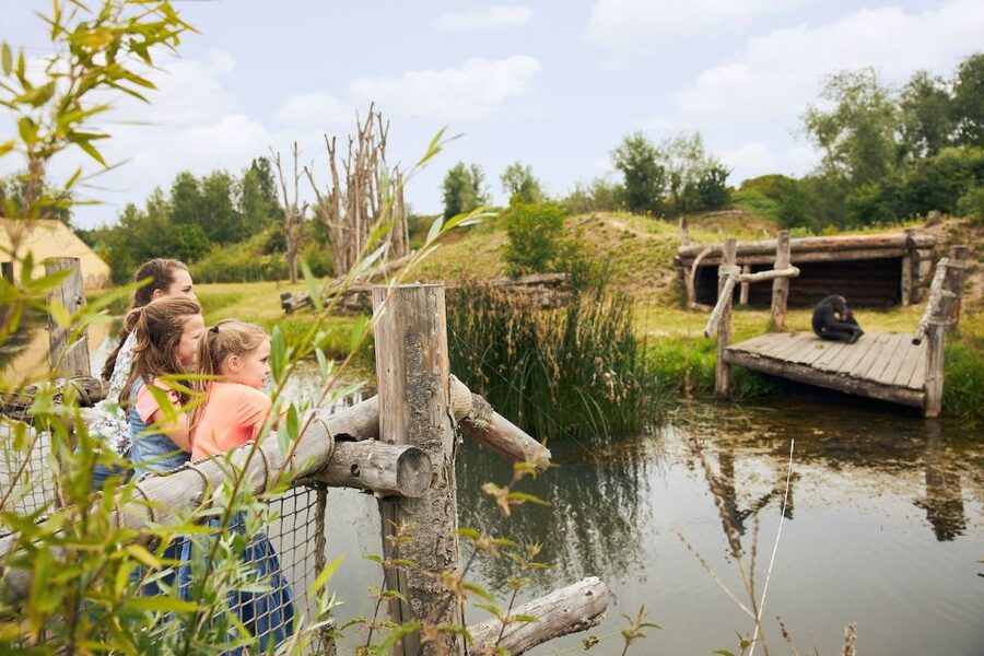 Eindhoven Zoo Entry Ticket - Penguins and Polar Bears: Cold-Climate Stars for a Warm Day Out