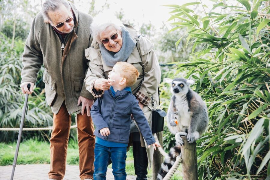Eindhoven Zoo Entry Ticket - Playgrounds and Benches: How to Pace a 1-Day Zoo Ticket