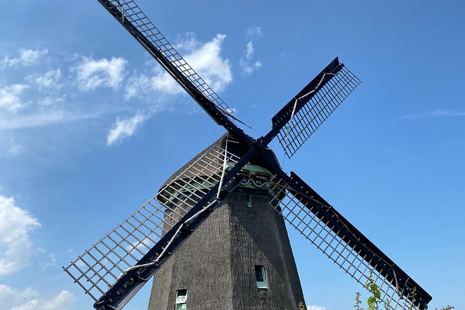 Escape Amsterdam: E-Bike to Zaanse Schans Windmills & Zaandam - Krijtmolen d’Admiraal and the north-Holland quick hits