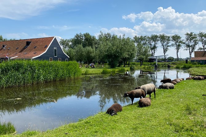 Escape Amsterdam: E-Bike to Zaanse Schans Windmills & Zaandam - The e-bike reality check: 40 km, pedal assist, and keeping your energy