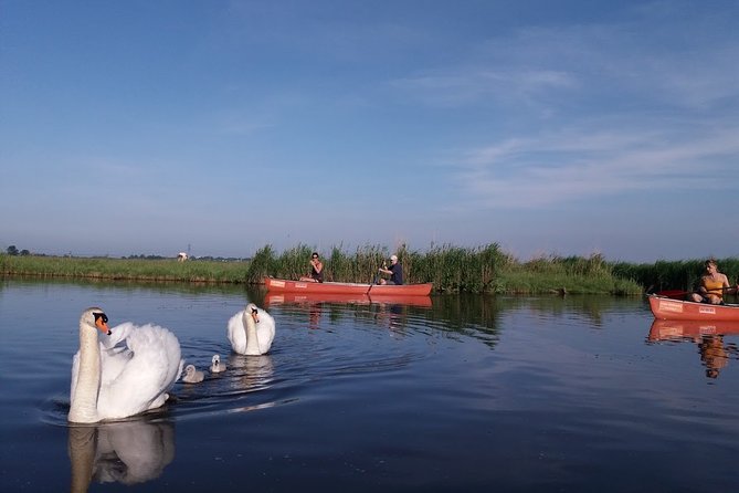 Fresh nose tour with the canoe through the nature near Amsterdam - Food on the water: your drink plan and the lunch option