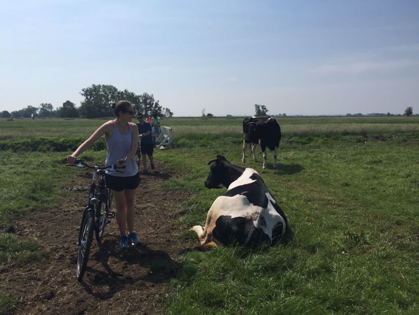 From Amsterdam: Countryside Bike Tour - The route: IJ-lake ferry, dams and dikes, and old village lanes