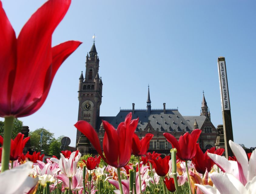 From Amsterdam: Guided Trip to Rotterdam, Delft & The Hague - Key things I’d circle on your map