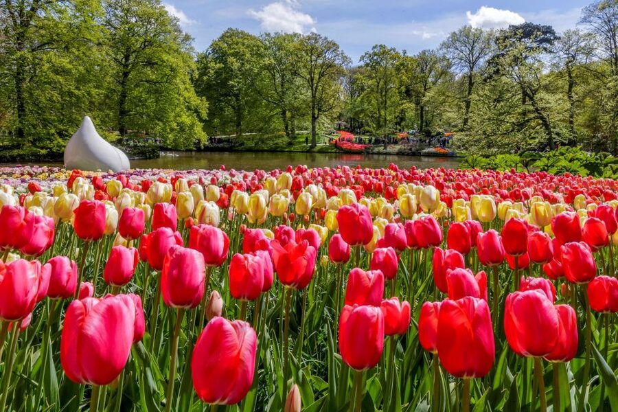 From Amsterdam: Keukenhof and Dutch Countryside Tour - Starting at Amsterdam Central, then heading south to the bulb fields