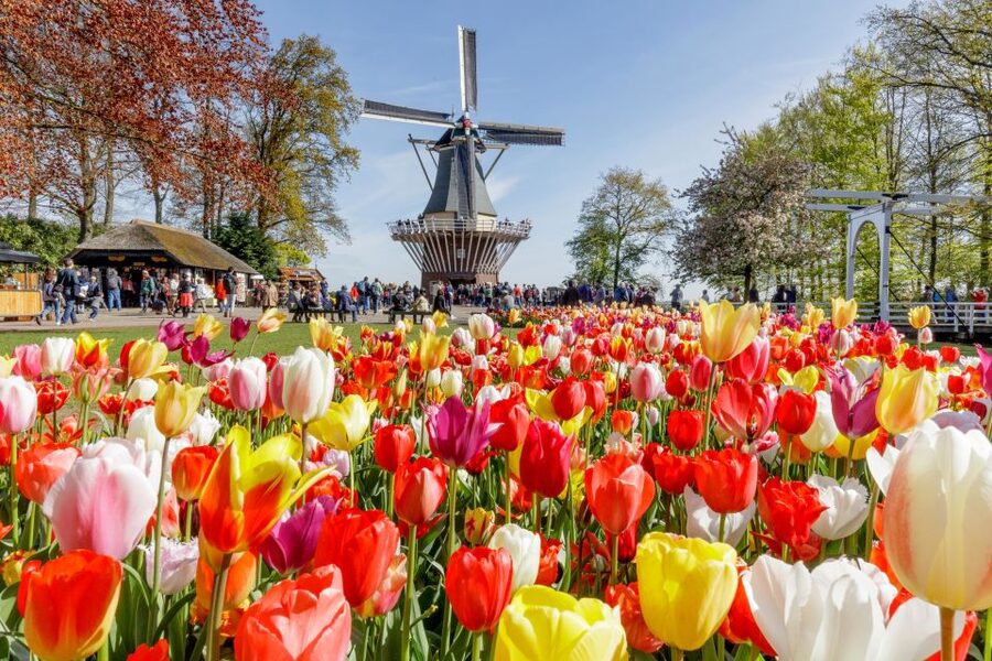 From Amsterdam: Keukenhof and Dutch Countryside Tour - Marken and the wooden shoe workshop: craft you can see and understand