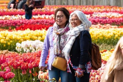 Keukenhof and Tulip Experience Tour