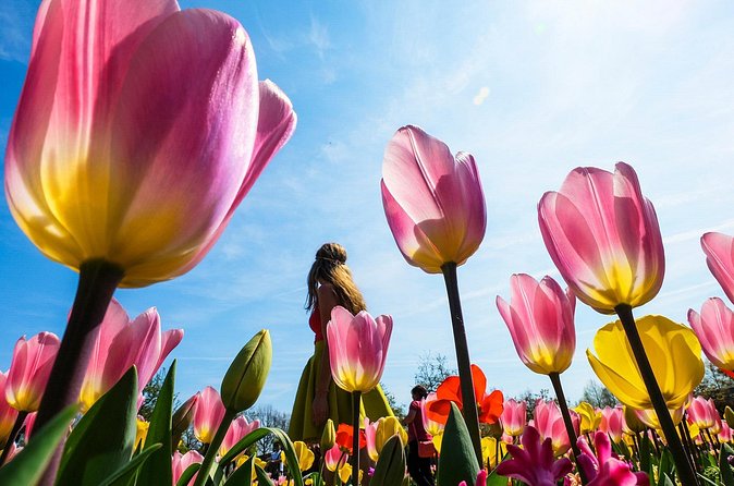 From Amsterdam: Keukenhof and Tulip Experience Tour - Who this tour fits best