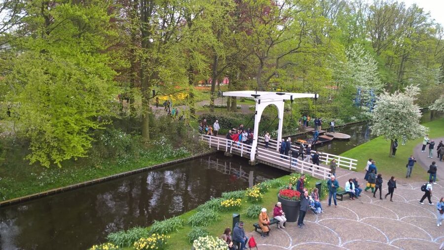 From Amsterdam: Keukenhof and Zaanse Schans Small Group Tour - Who This Tour Suits Best, and Who Might Prefer Something Else