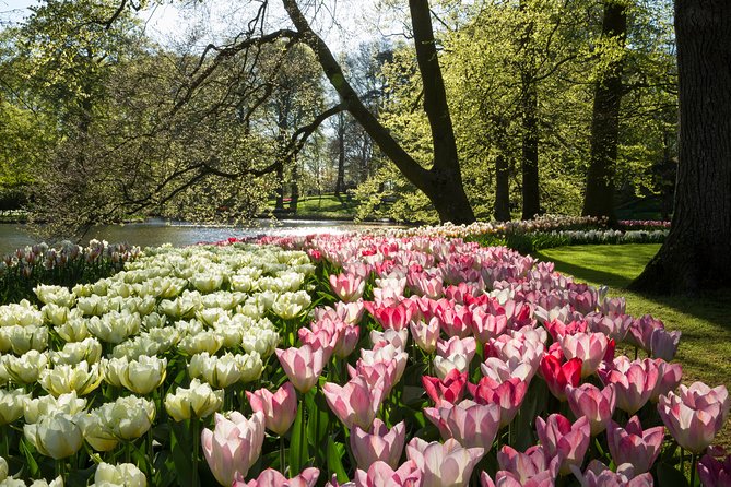 From Amsterdam: Keukenhof Gardens Ticket and Transfer - What You Really Gain from the Bus Driver and On-the-Road Audio