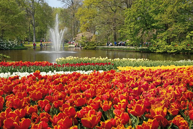 From Amsterdam: Keukenhof Gardens Ticket and Transfer - Who This Keukenhof Day Trip Fits Best