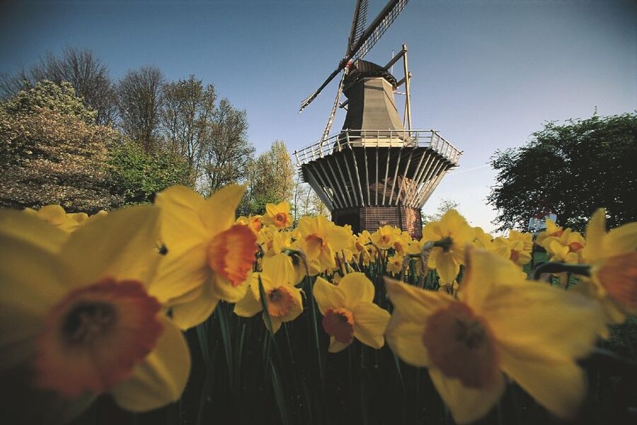From Amsterdam: Keukenhof Gardens & Tulip Experience Tour - Value check: is $94 a good deal for what you get?
