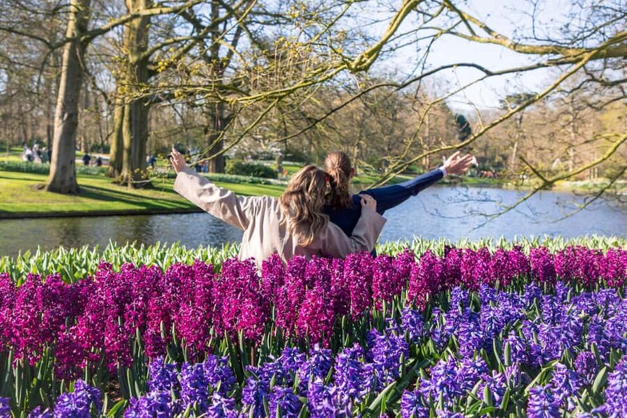 From Amsterdam: Keukenhof Ticket with Transfer - The coach ride: guaranteed seating, Wi-Fi, and audio for the drive to the bulb region