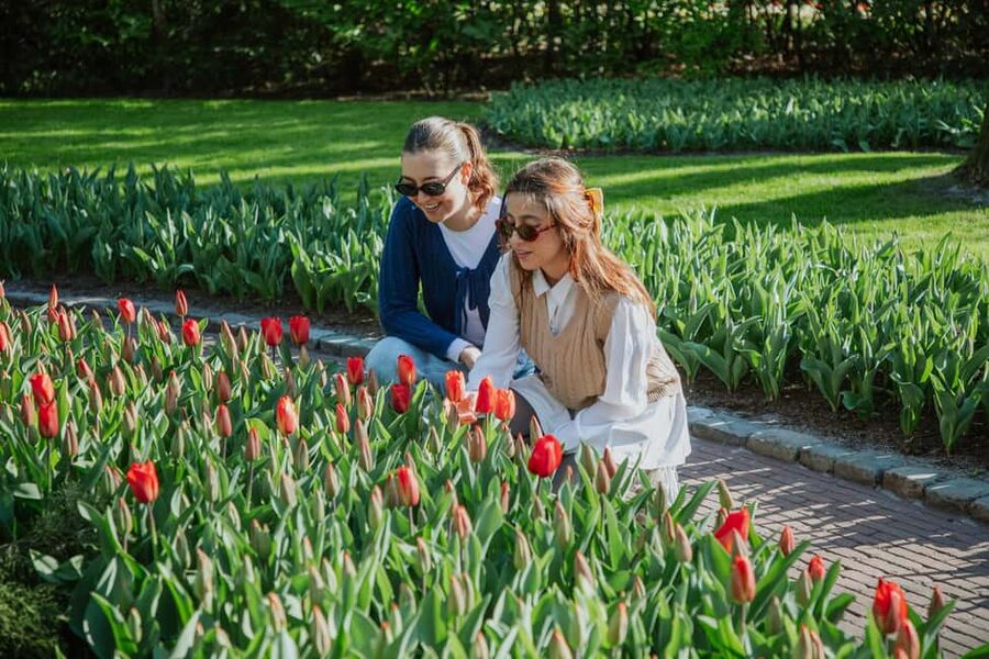 From Amsterdam: Keukenhof Ticket with Transfer - Keukenhof Park: fast-track entry and how to enjoy 7 million flowers without burning out