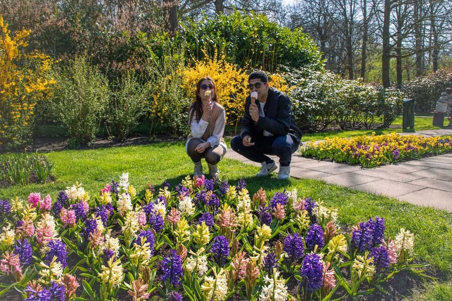From Amsterdam: Keukenhof Ticket with Transfer - Who should book this tour, and who might want a different plan