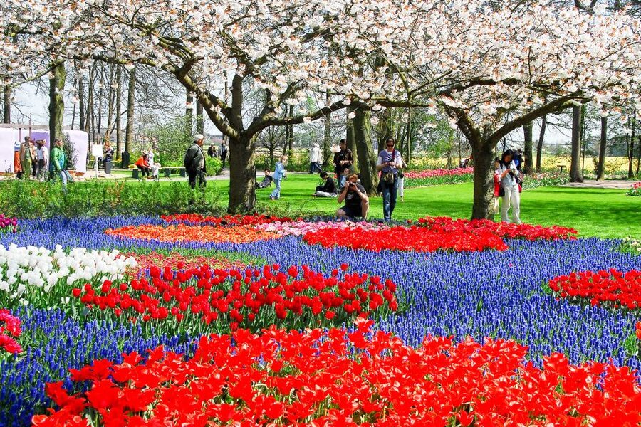 From Amsterdam: Keukenhof Ticket with Transfer - Practical tips so your Keukenhof day feels smooth