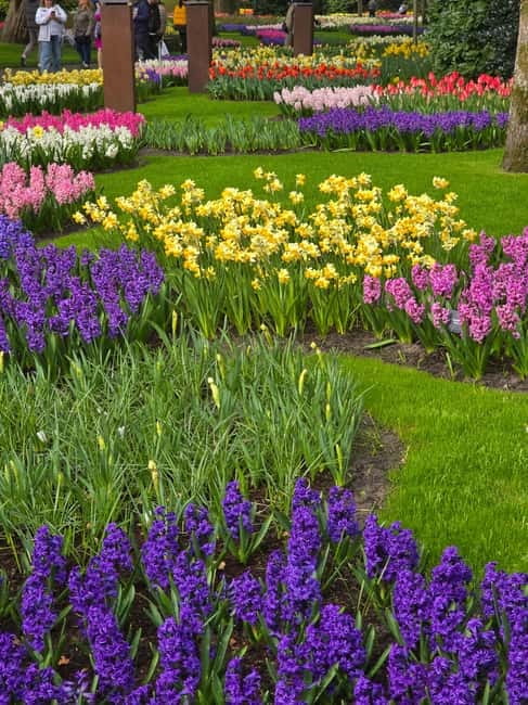 From Amsterdam: Keukenhof Tulips, Windmills & Volendam - Small-Group Comfort: Modern Minivan, Wi-Fi, Power Banks, and a Good Pace