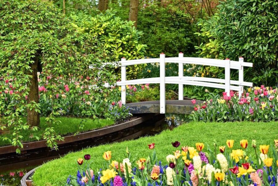 From Amsterdam: Private Keukenhof and Tulip Experience Tour - Keukenhof in Lisse: 32 hectares of flowers plus weekly themed exhibitions