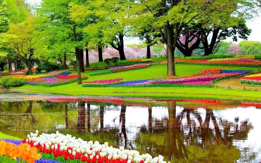 From Amsterdam: Private Keukenhof and Tulip Experience Tour - Who this tour suits best, and who may want to choose differently