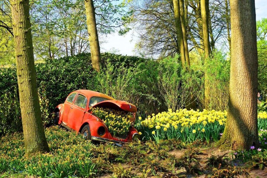 From Amsterdam: Private Keukenhof and Tulip Experience Tour - Should you book this Amsterdam Keukenhof and Tulip Experience tour?