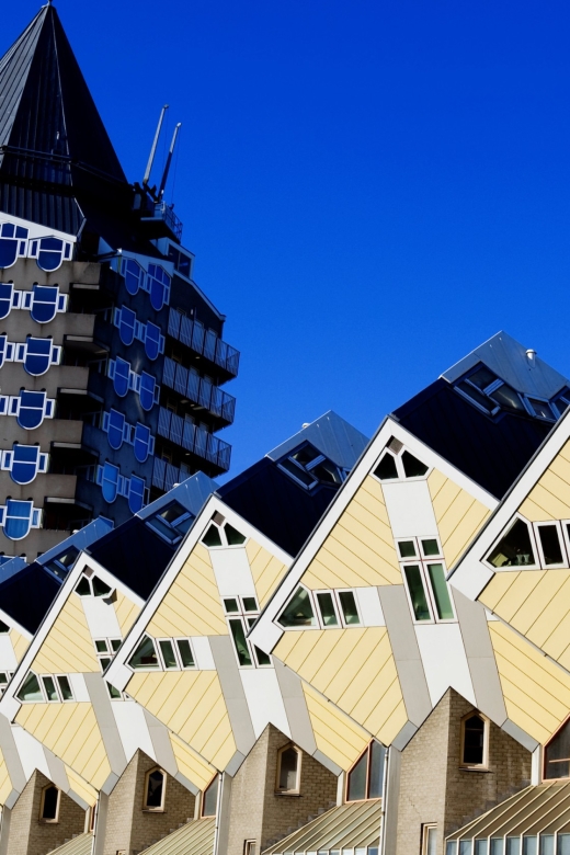 From Amsterdam: Rotterdam and The Hague Tour in Spanish - Key highlights you will feel right away