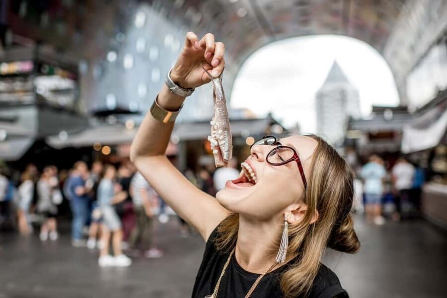 From Amsterdam: Rotterdam, Delft & The Hague Guided Day Tour - Should you book this tour?