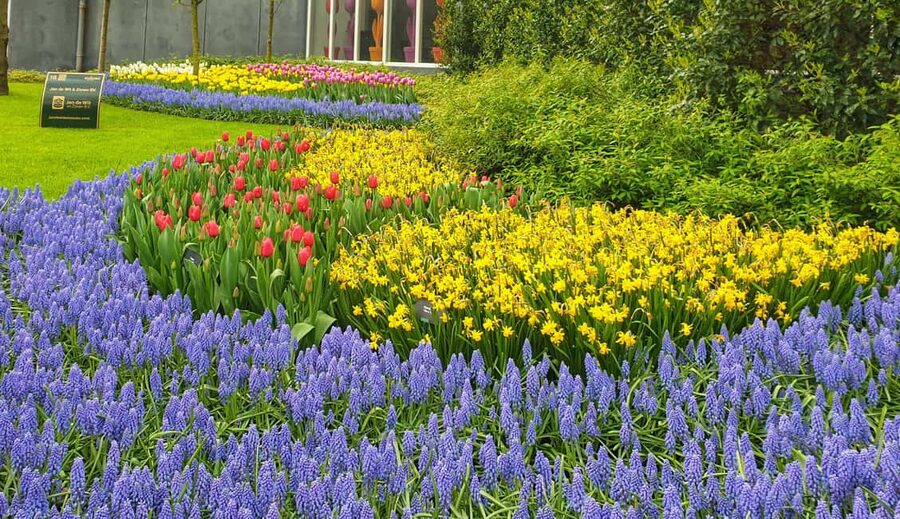 From Amsterdam: Small Group Keukenhof & City Tour Delft - Entering Keukenhof Gardens: themed displays and photo opportunities that feel endless