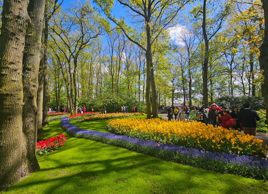 From Amsterdam: Small Group Keukenhof & City Tour Delft - Is this tour worth your schedule? My honest booking advice